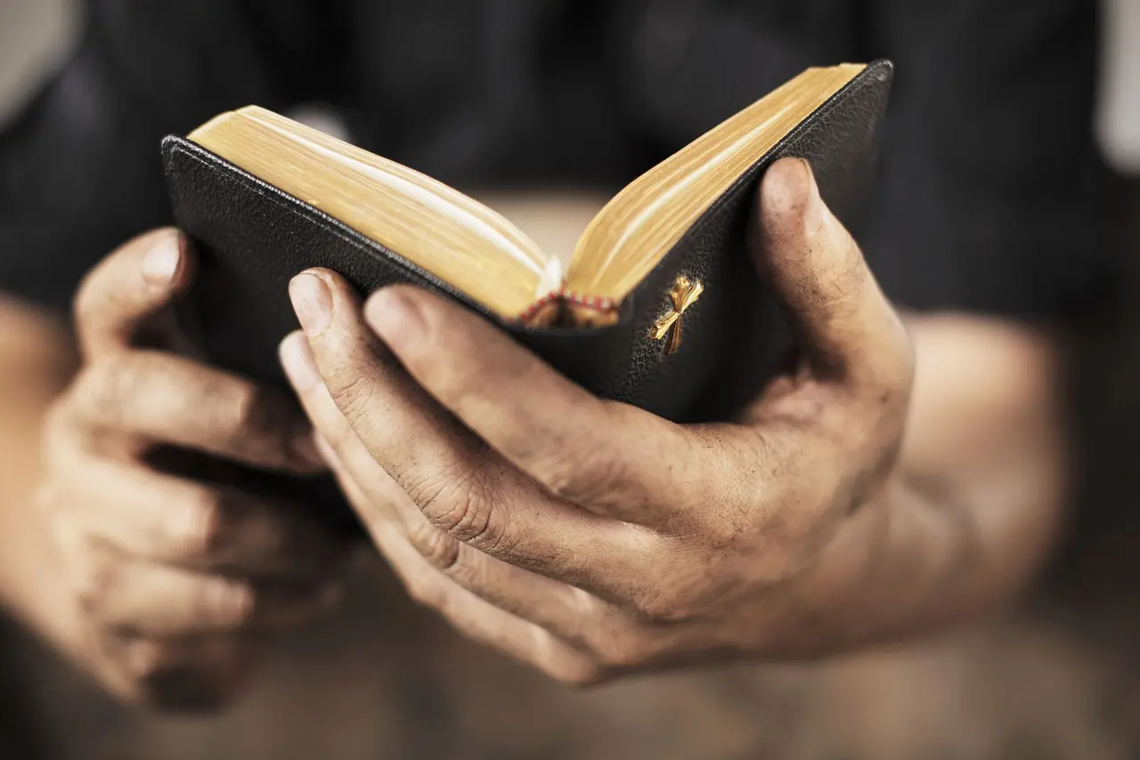 Hände, die ein Buch halten