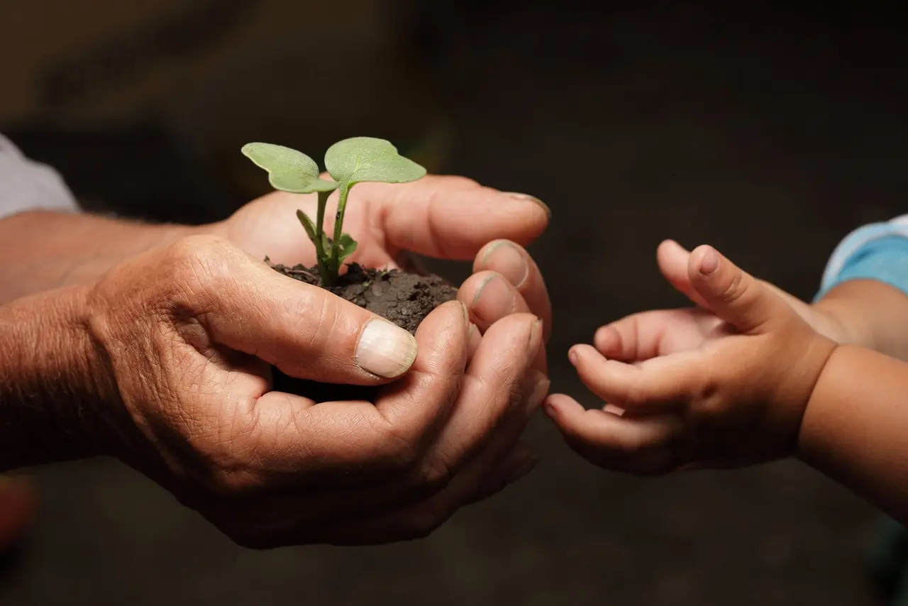 Eine große Hand hält Erde aus der eine Pflanze sprießt, auf anderen Seite ist eine leere Kinderhand